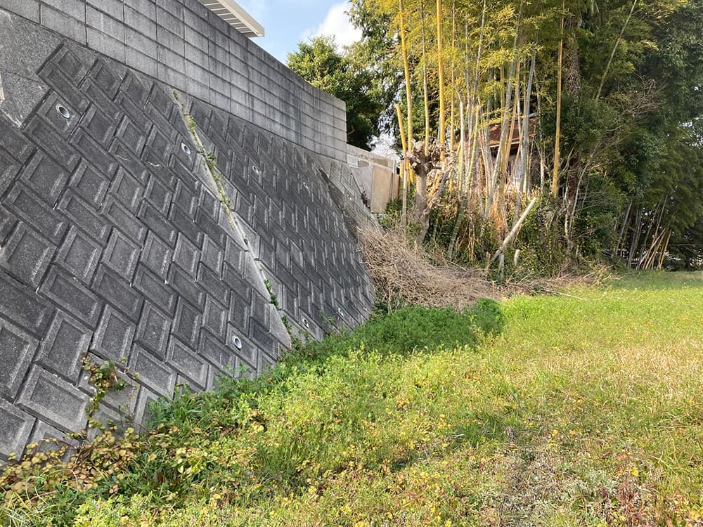 image3.jpg